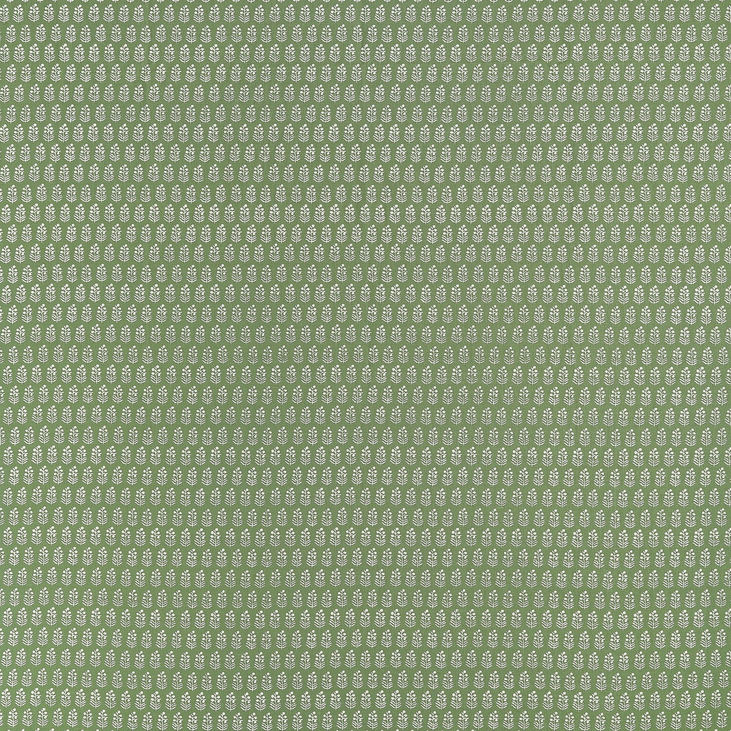 Chloe fabric in green color - pattern number AF10748 - by Anna French in the Clermont collection