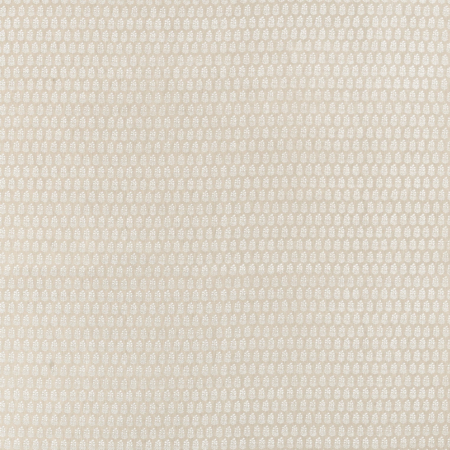 Chloe fabric in beige color - pattern number AF10750 - by Anna French in the Clermont collection