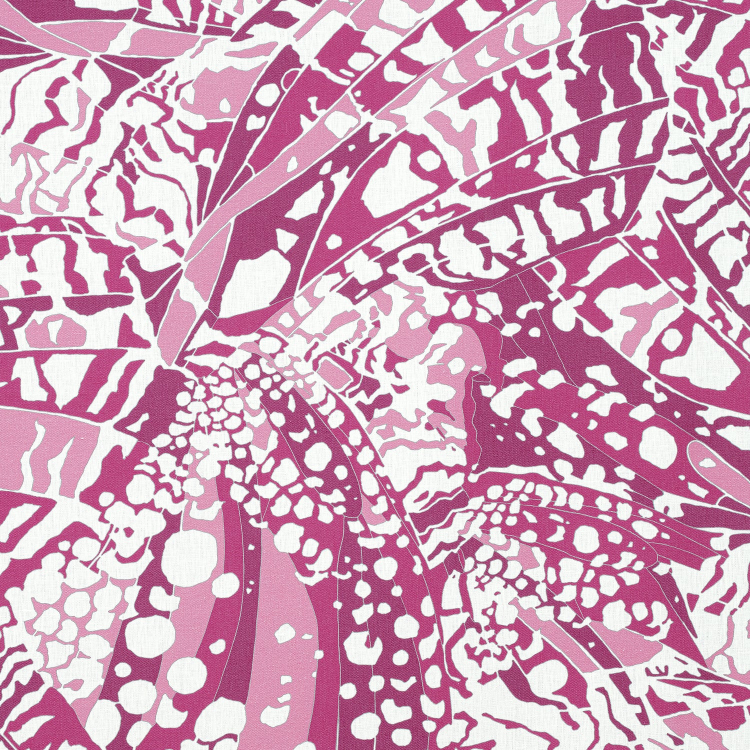 Puccini fabric in fuchsia color - pattern number AF9861 - by Anna French in the Nara collection