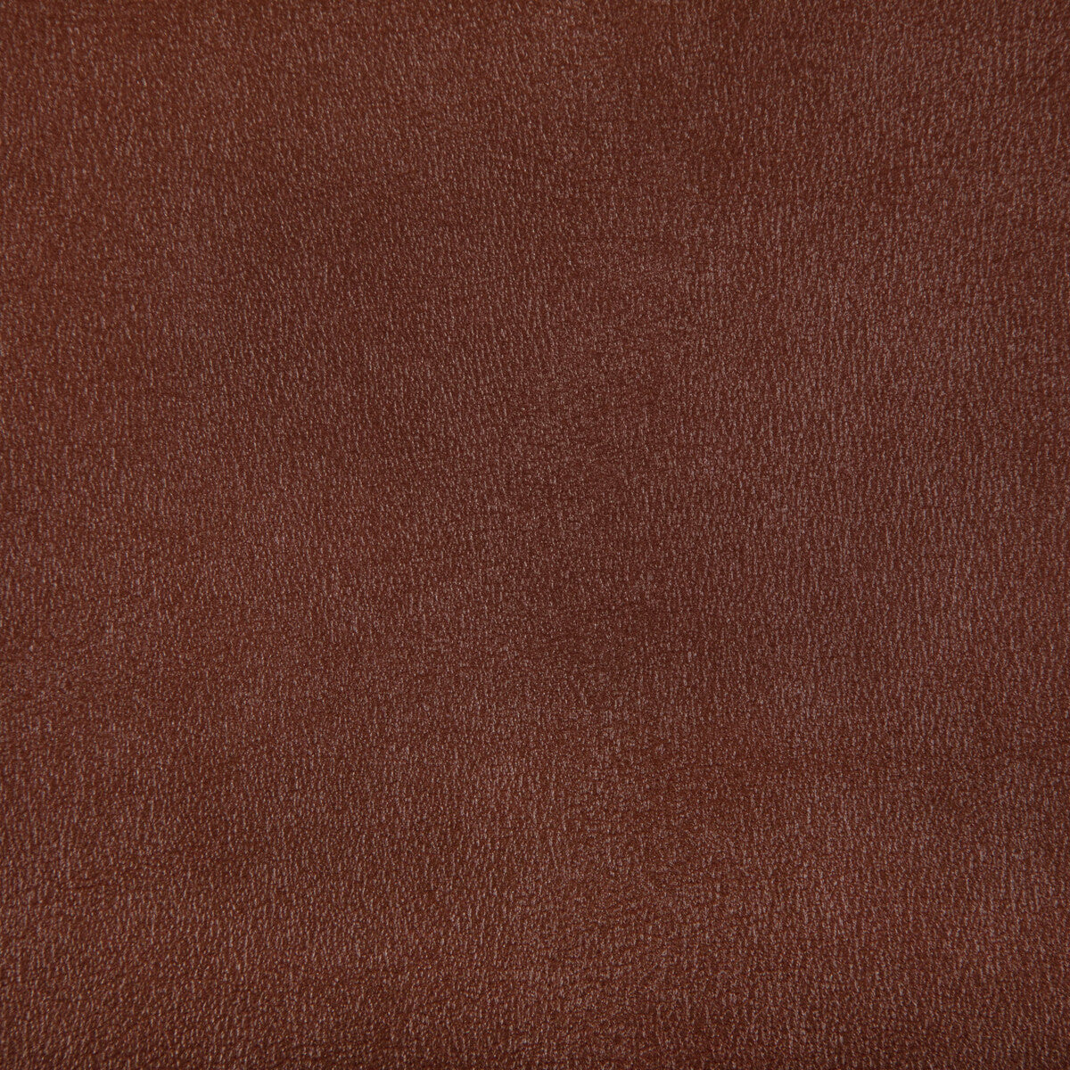 Agatha fabric in copper color - pattern AGATHA.6.0 - by Kravet Contract