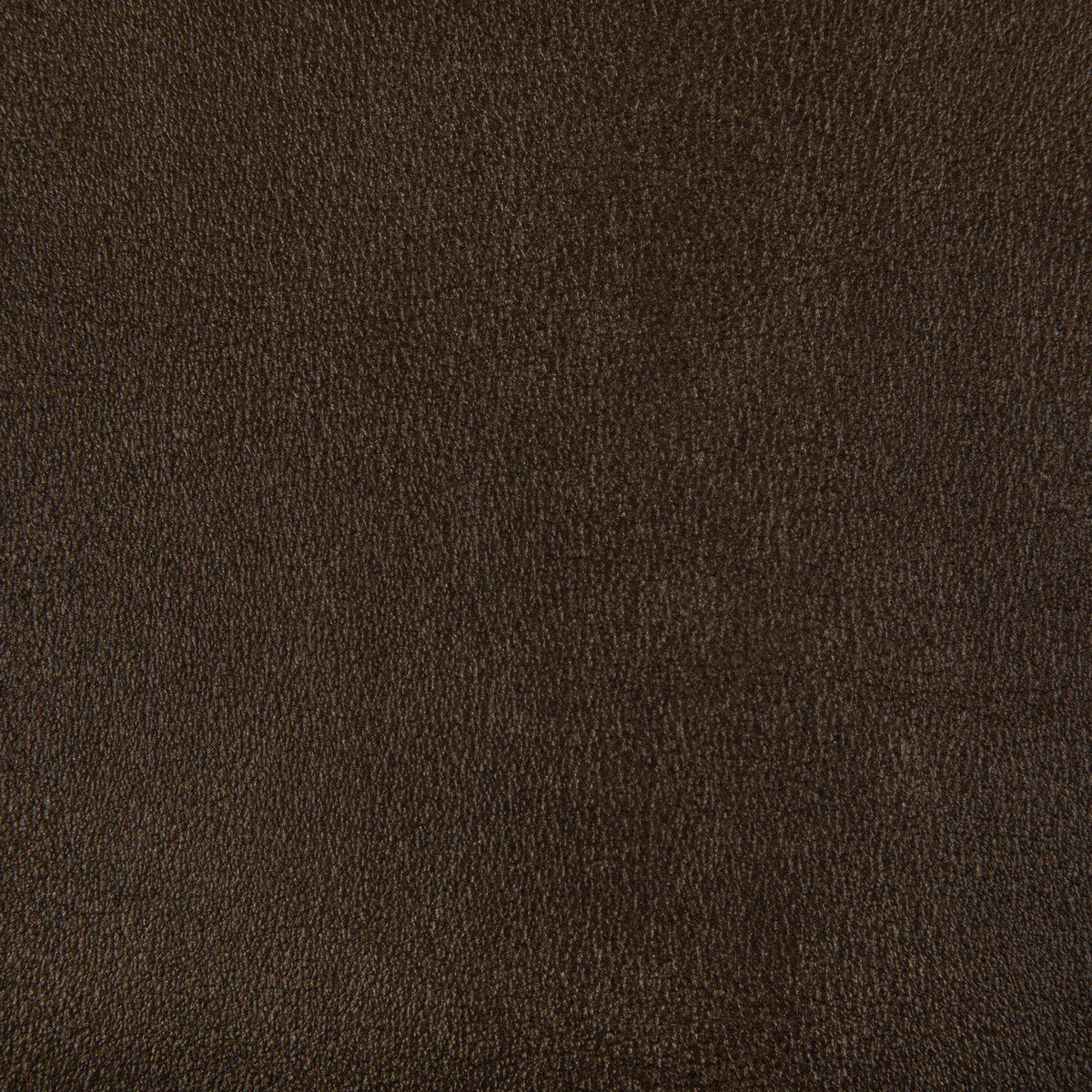 Agatha fabric in bronze color - pattern AGATHA.624.0 - by Kravet Contract