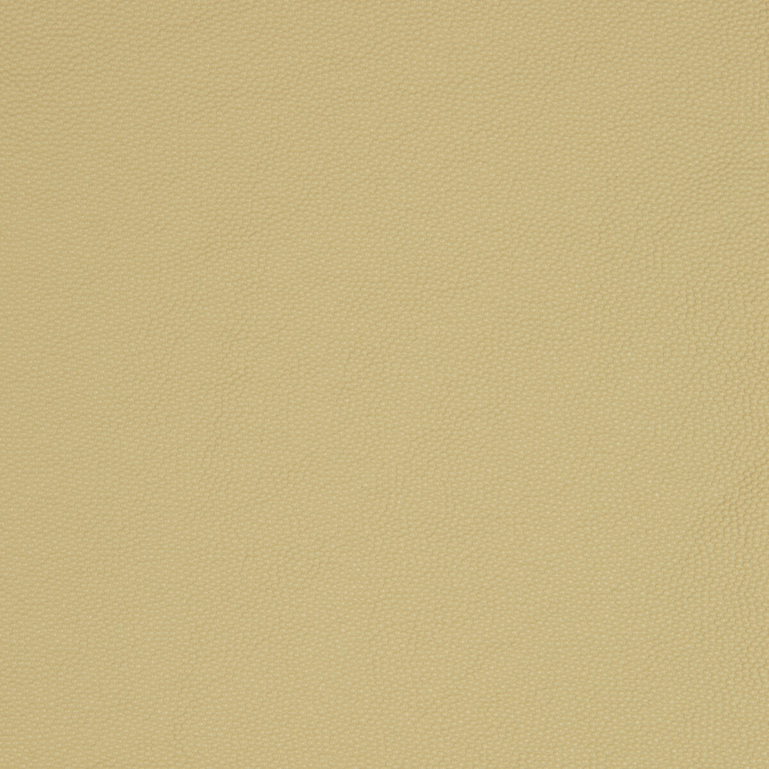 Kravet Smart fabric in aldwin-16 color - pattern ALDWIN.16.0 - by Kravet Smart