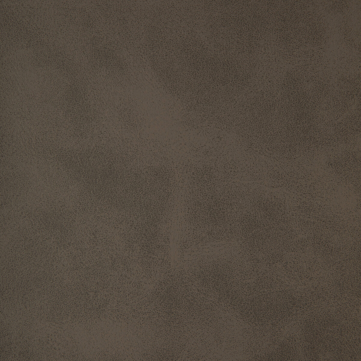 Alum fabric in alum-11 color - pattern number ALUM.11.0 - by Kravet Design in the Faux Leather IV collection