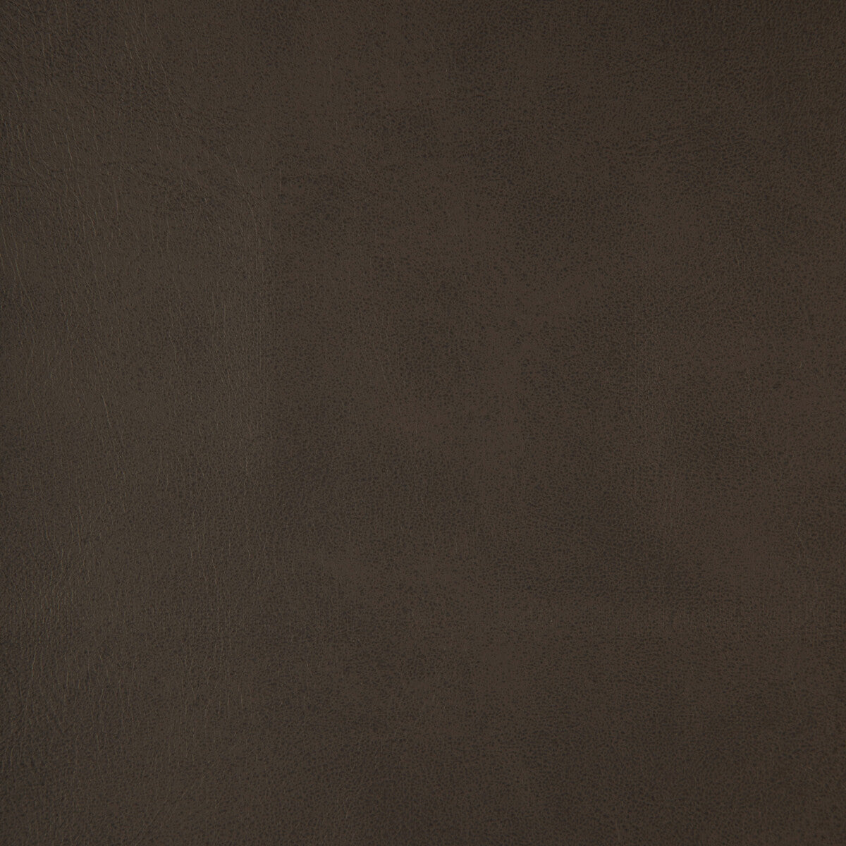 Alum fabric in alum-21 color - pattern number ALUM.21.0 - by Kravet Design in the Faux Leather IV collection