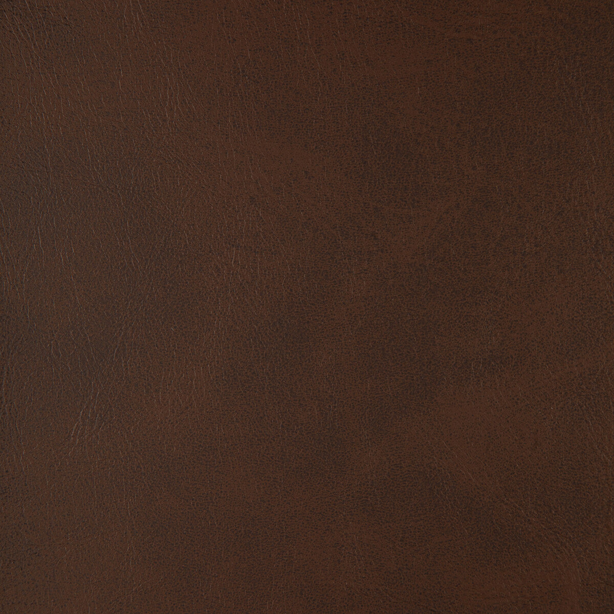 Alum fabric in alum-66 color - pattern number ALUM.66.0 - by Kravet Design in the Faux Leather IV collection