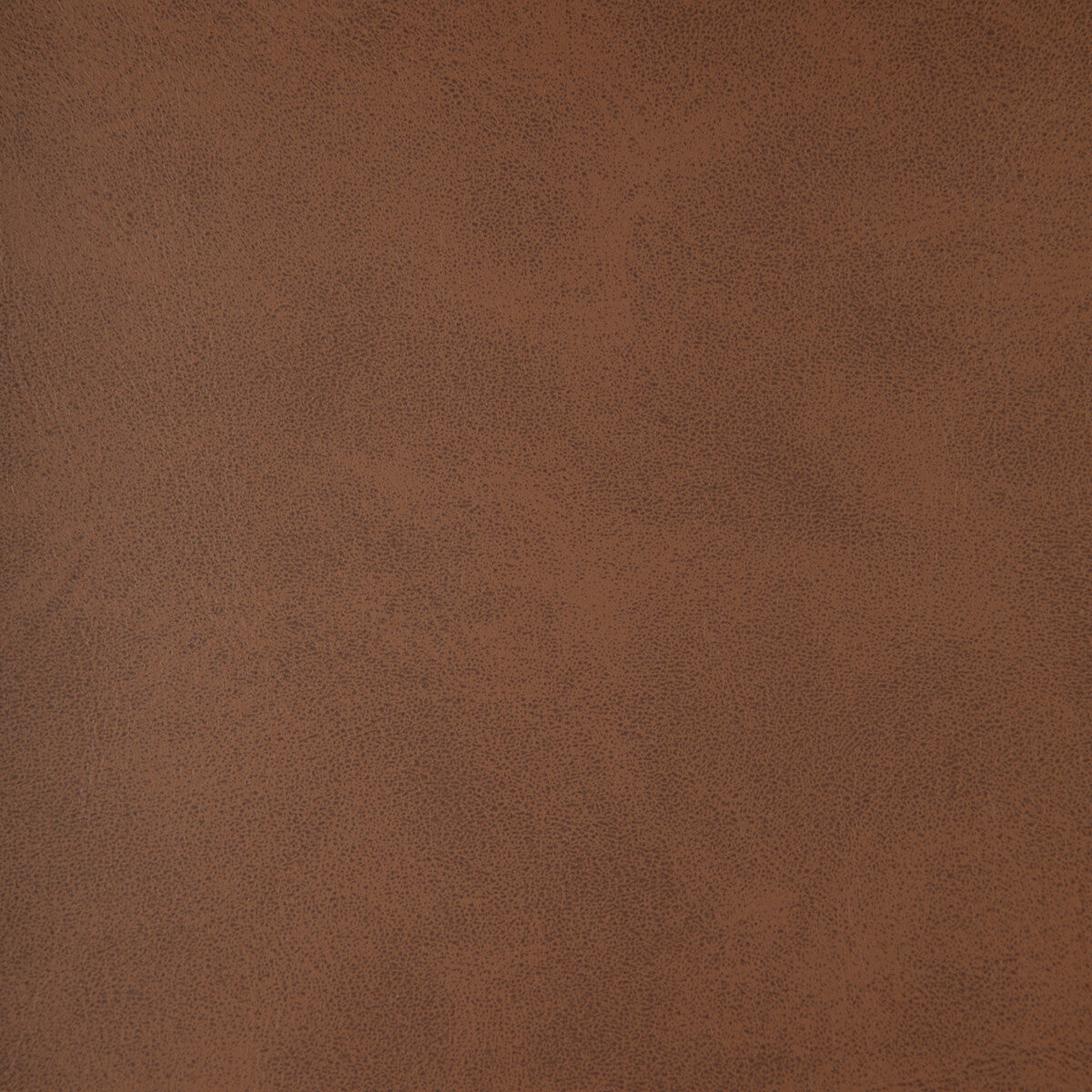 Alum fabric in alum-6 color - pattern number ALUM.6.0 - by Kravet Design in the Faux Leather IV collection