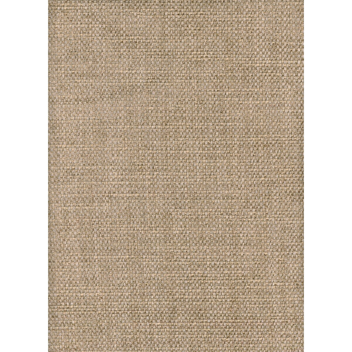 Paraggi fabric in wheat color - pattern AM100299.106.0 - by Kravet Couture in the Andrew Martin Portofino collection