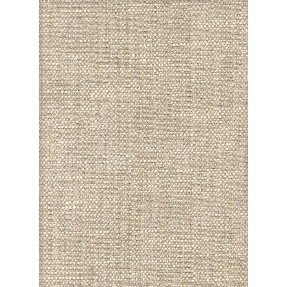 Paraggi fabric in oat color - pattern AM100299.1611.0 - by Kravet Couture in the Andrew Martin Portofino collection