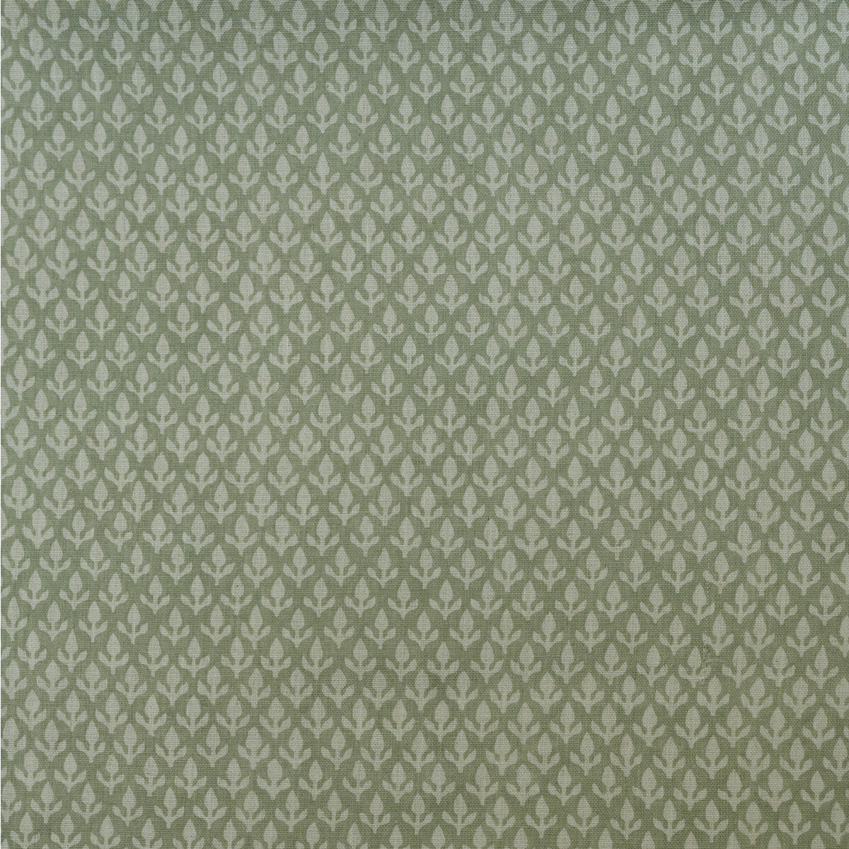 Bud fabric in fennel color - pattern AM100379.123.0 - by Kravet Couture in the Andrew Martin Garden Path collection