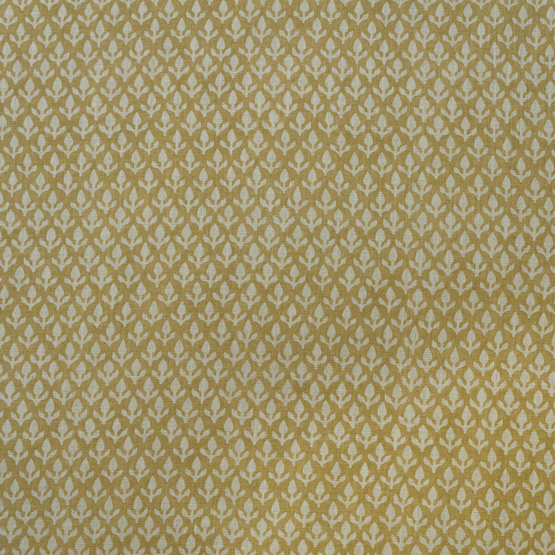 Bud fabric in honey color - pattern AM100379.416.0 - by Kravet Couture in the Andrew Martin Garden Path collection