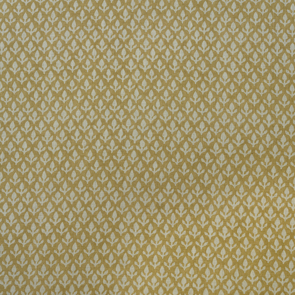 Bud fabric in honey color - pattern AM100379.416.0 - by Kravet Couture in the Andrew Martin Garden Path collection