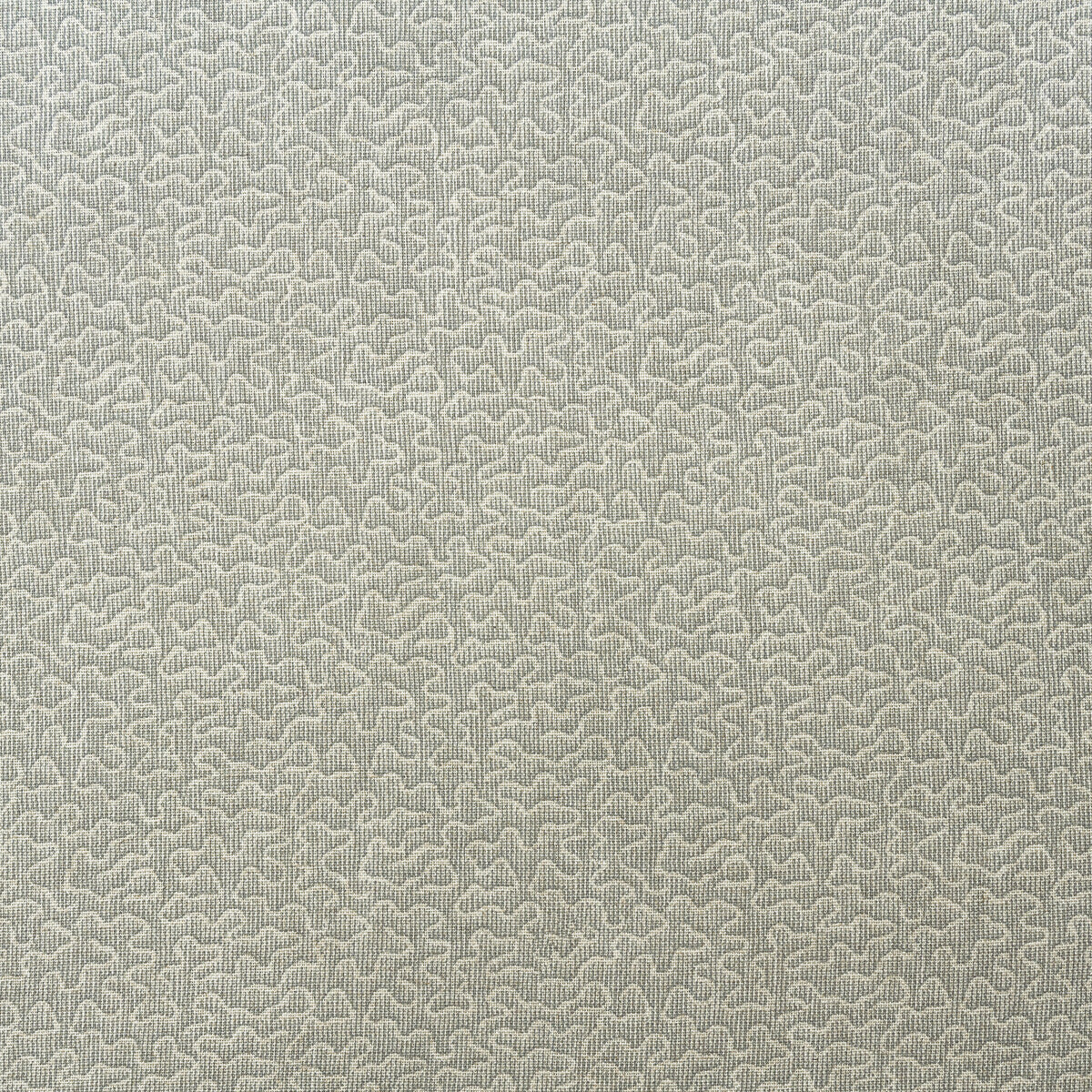 Pollen fabric in cloud color - pattern AM100383.11.0 - by Kravet Couture in the Andrew Martin Garden Path collection