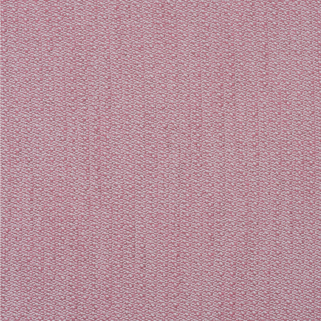 Ravello fabric in pink color - pattern AM100431.17.0 - by Kravet Couture in the Andrew Martin Amalfi collection