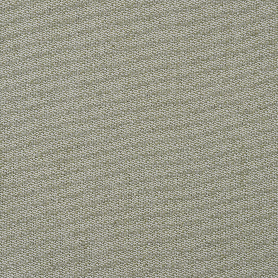Ravello fabric in leaf color - pattern AM100431.3.0 - by Kravet Couture in the Andrew Martin Amalfi collection