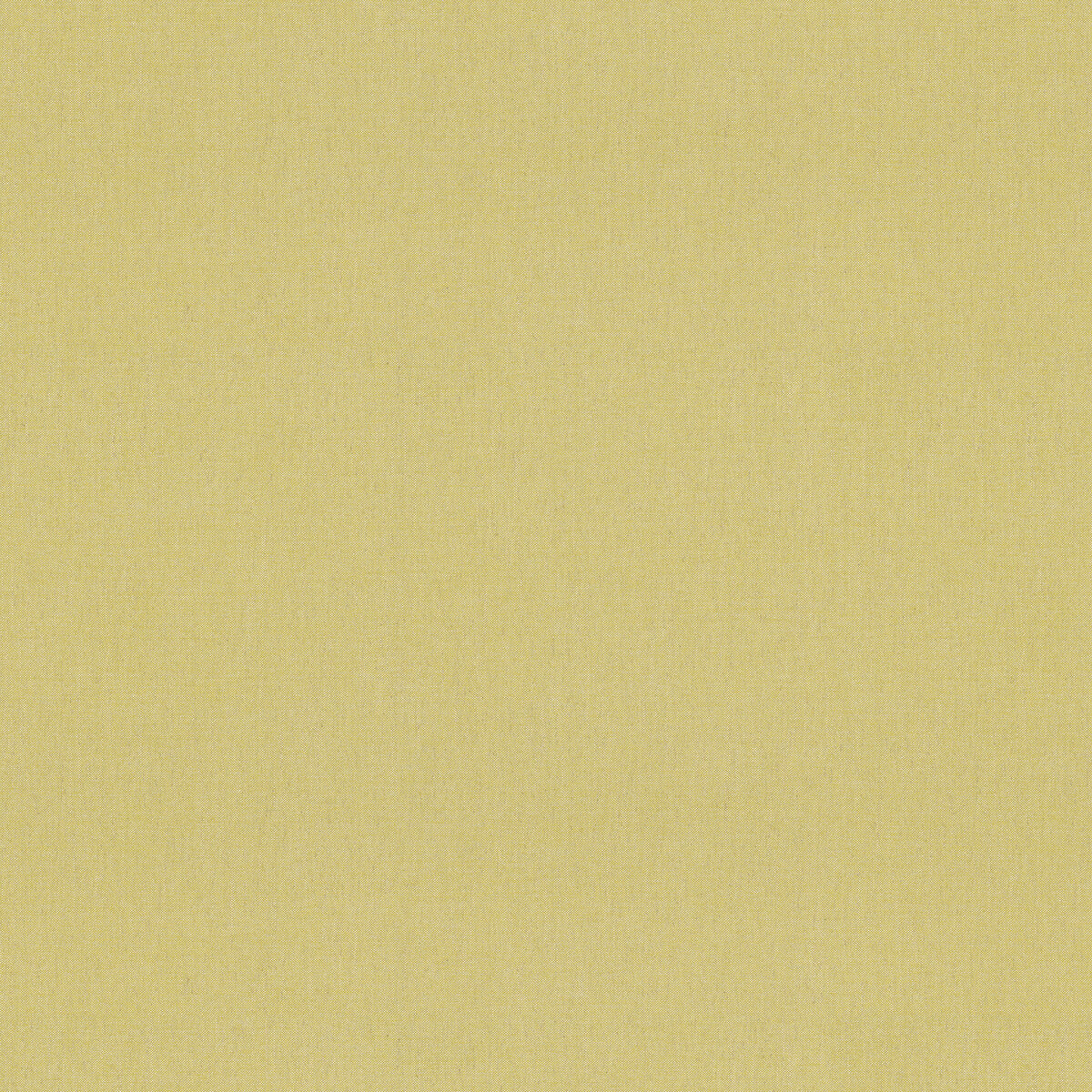 Walton fabric in lemon color - pattern number AM100432.3.0 - by Kravet Couture in the Andrew Martin Amalfi collection