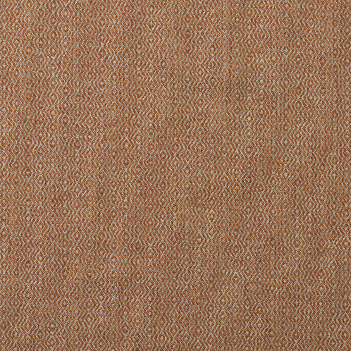 Riverbank fabric in lobster color - pattern number AM100437.12.0 - by Kravet Couture in the Andrew Martin Boathouse collection