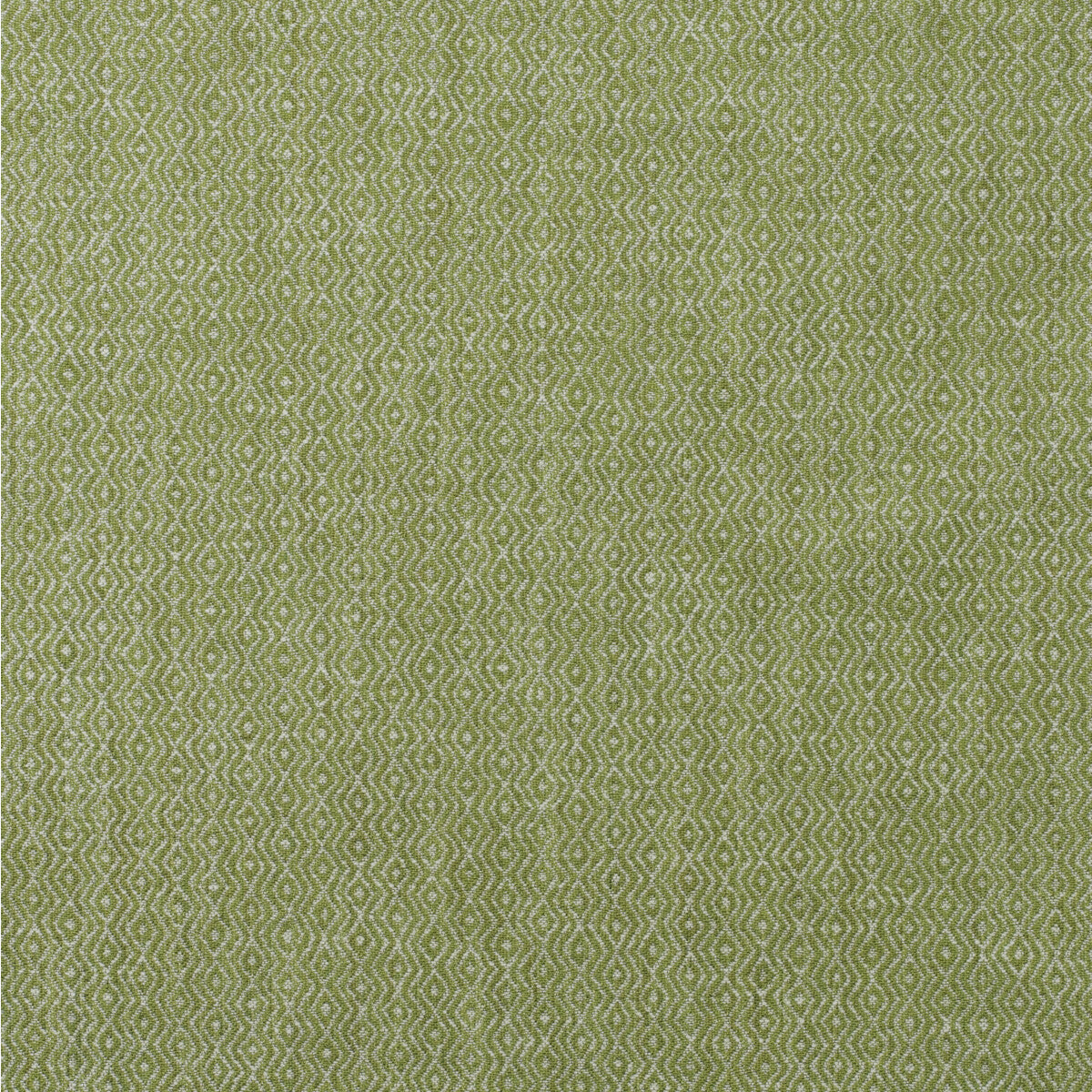 Riverbank fabric in reed color - pattern number AM100437.316.0 - by Kravet Couture in the Andrew Martin Boathouse collection