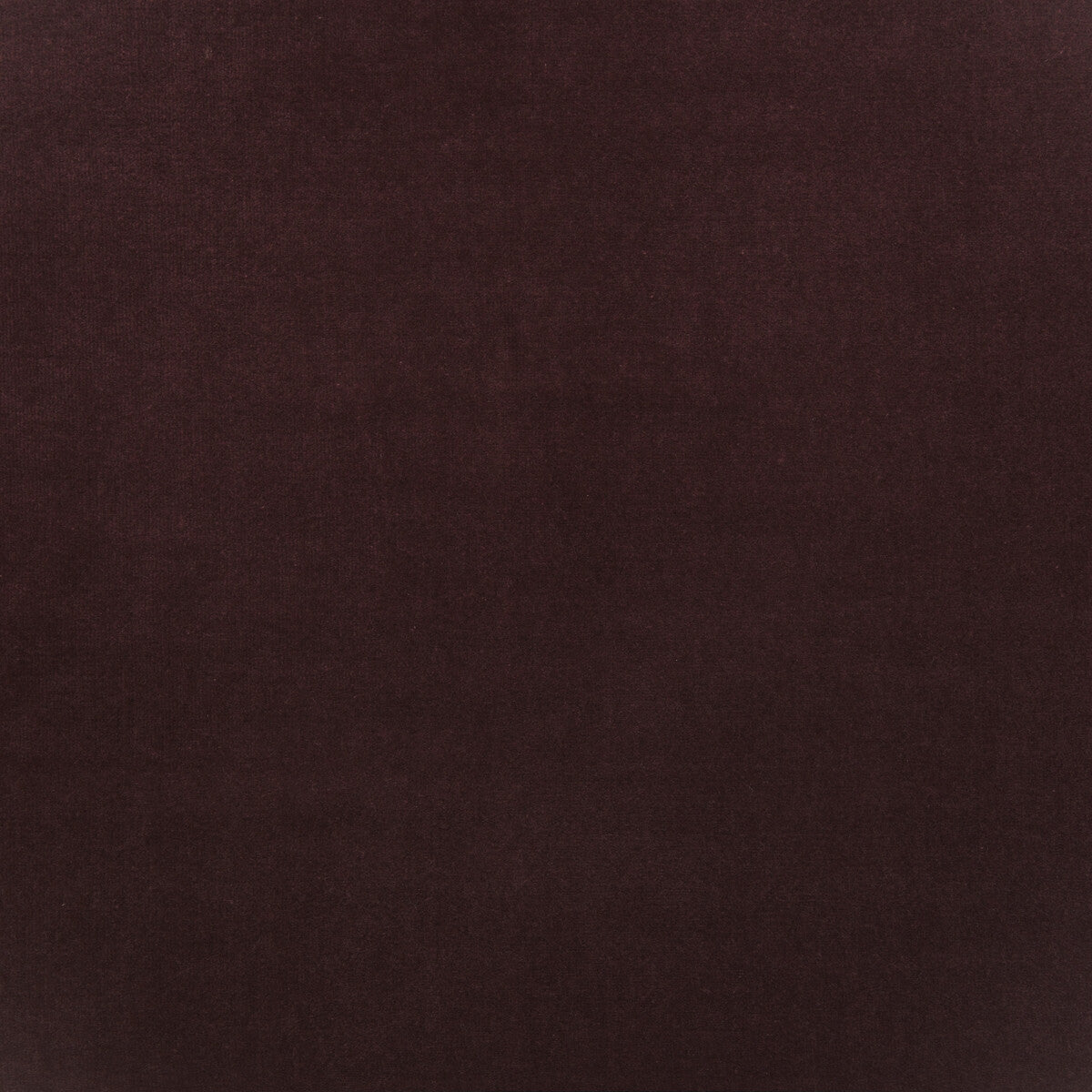 Medici fabric in fig color - pattern number AM100443.10.0 - by Kravet Couture in the Andrew Martin Medici collection
