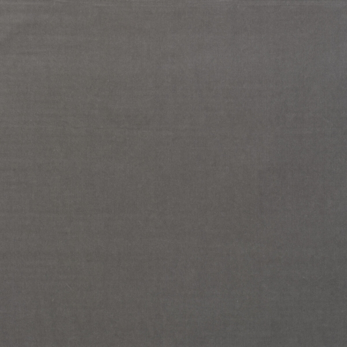 Medici fabric in zinc color - pattern number AM100443.11.0 - by Kravet Couture in the Andrew Martin Medici collection