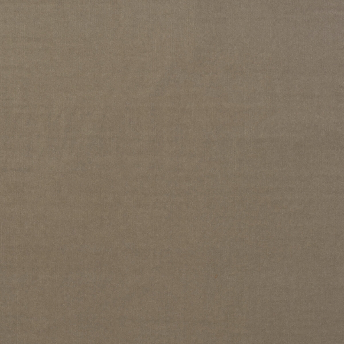Medici fabric in stone color - pattern number AM100443.16.0 - by Kravet Couture in the Andrew Martin Medici collection