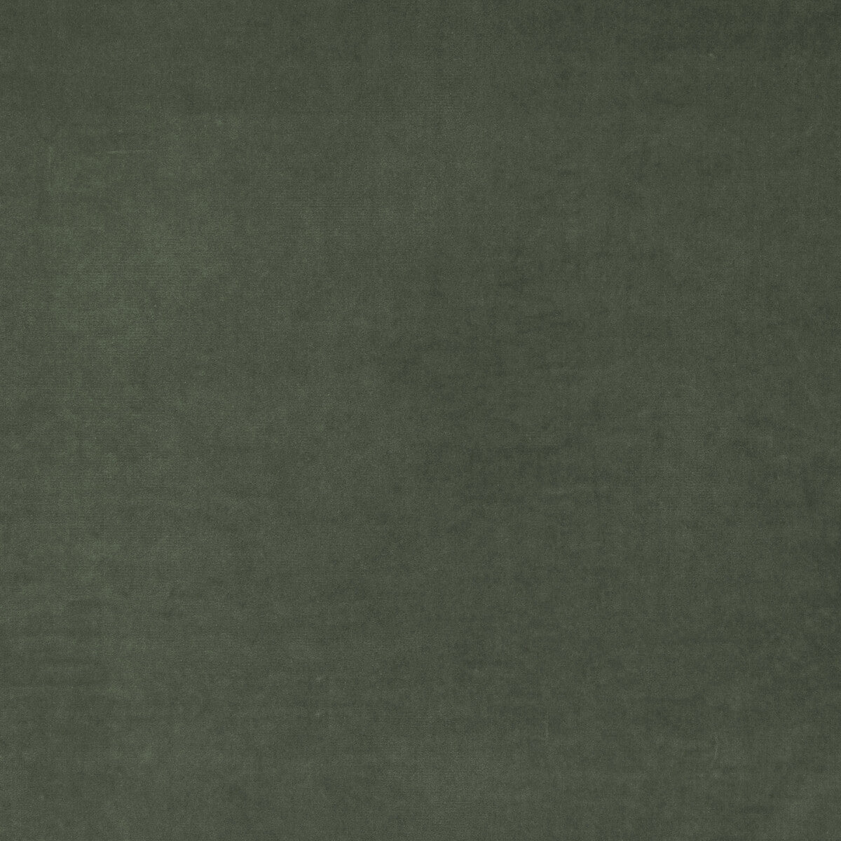 Medici fabric in slate color - pattern number AM100443.21.0 - by Kravet Couture in the Andrew Martin Medici collection