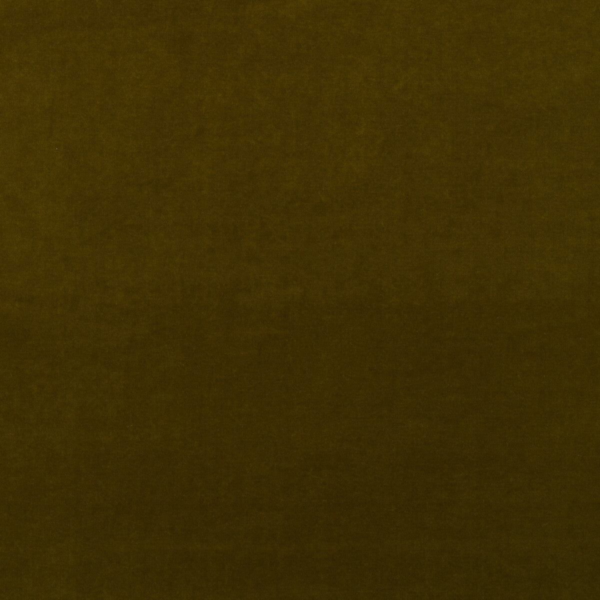 Medici fabric in olive color - pattern number AM100443.34.0 - by Kravet Couture in the Andrew Martin Medici collection