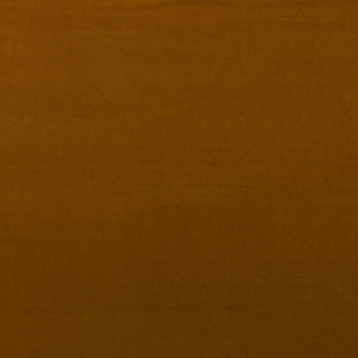 Medici fabric in mustard color - pattern number AM100443.412.0 - by Kravet Couture in the Andrew Martin Medici collection