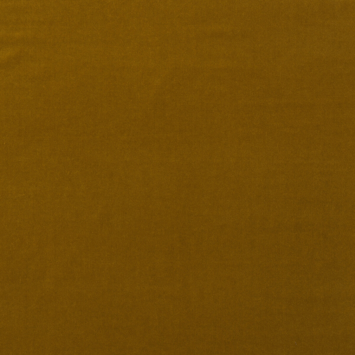 Medici fabric in quince color - pattern number AM100443.430.0 - by Kravet Couture in the Andrew Martin Medici collection