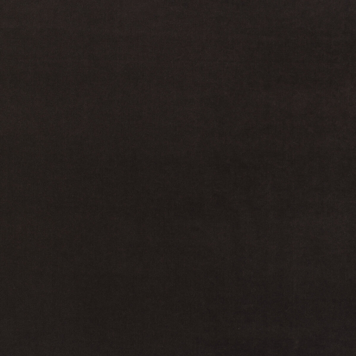 Medici fabric in mocha color - pattern number AM100443.6.0 - by Kravet Couture in the Andrew Martin Medici collection