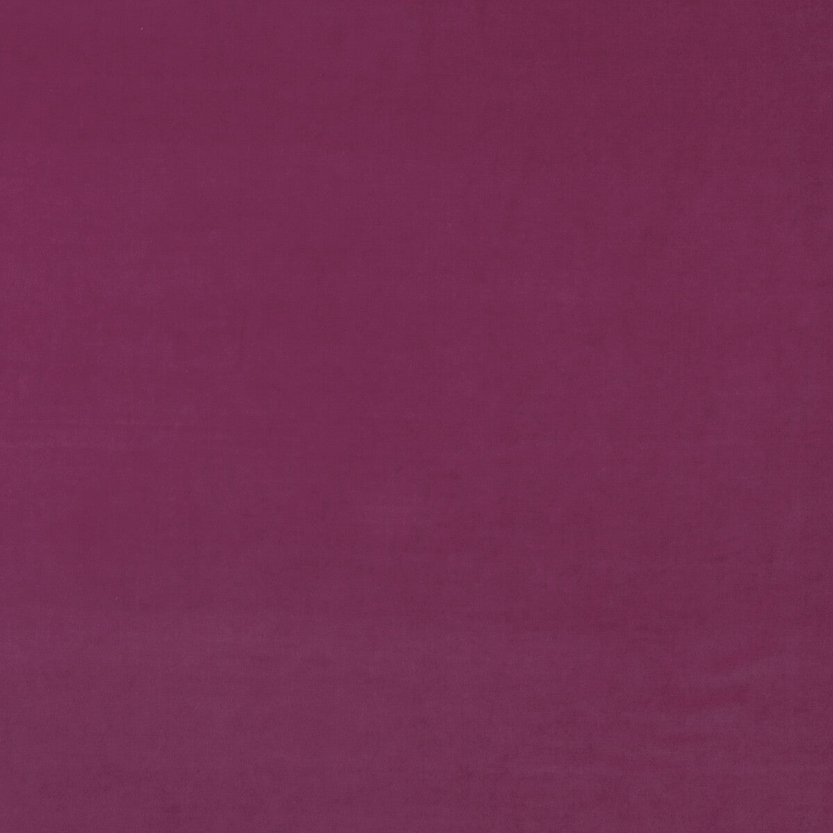 Medici fabric in geranium color - pattern number AM100443.7.0 - by Kravet Couture in the Andrew Martin Medici collection