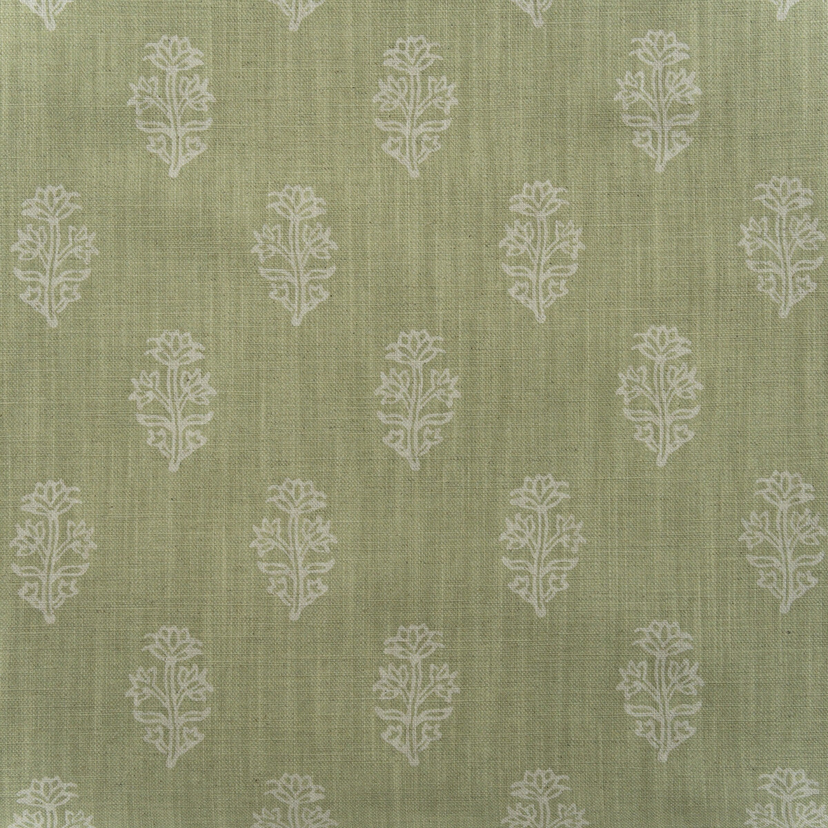 Buttercup fabric in fennel color - pattern number AM100445.123.0 - by Kravet Couture in the Andrew Martin Pavilion collection