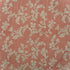 Vine fabric in coral color - pattern number AM100451.7.0 - by Kravet Couture in the Andrew Martin Pavilion collection
