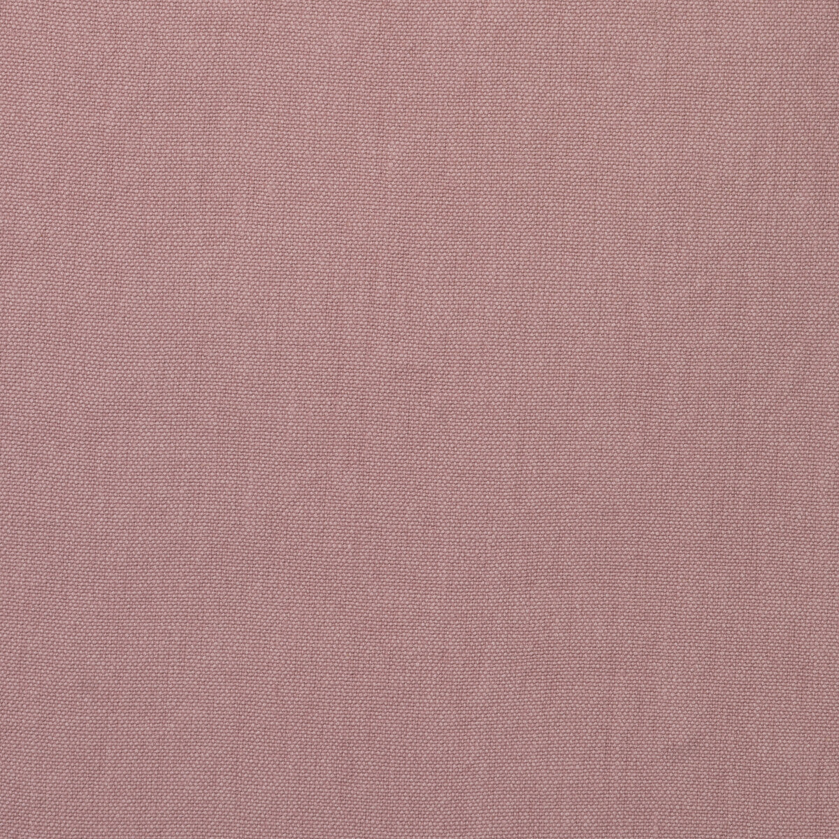 Rocco fabric in petal color - pattern number AM100452.17.0 - by Kravet Couture in the Andrew Martin Rocco collection