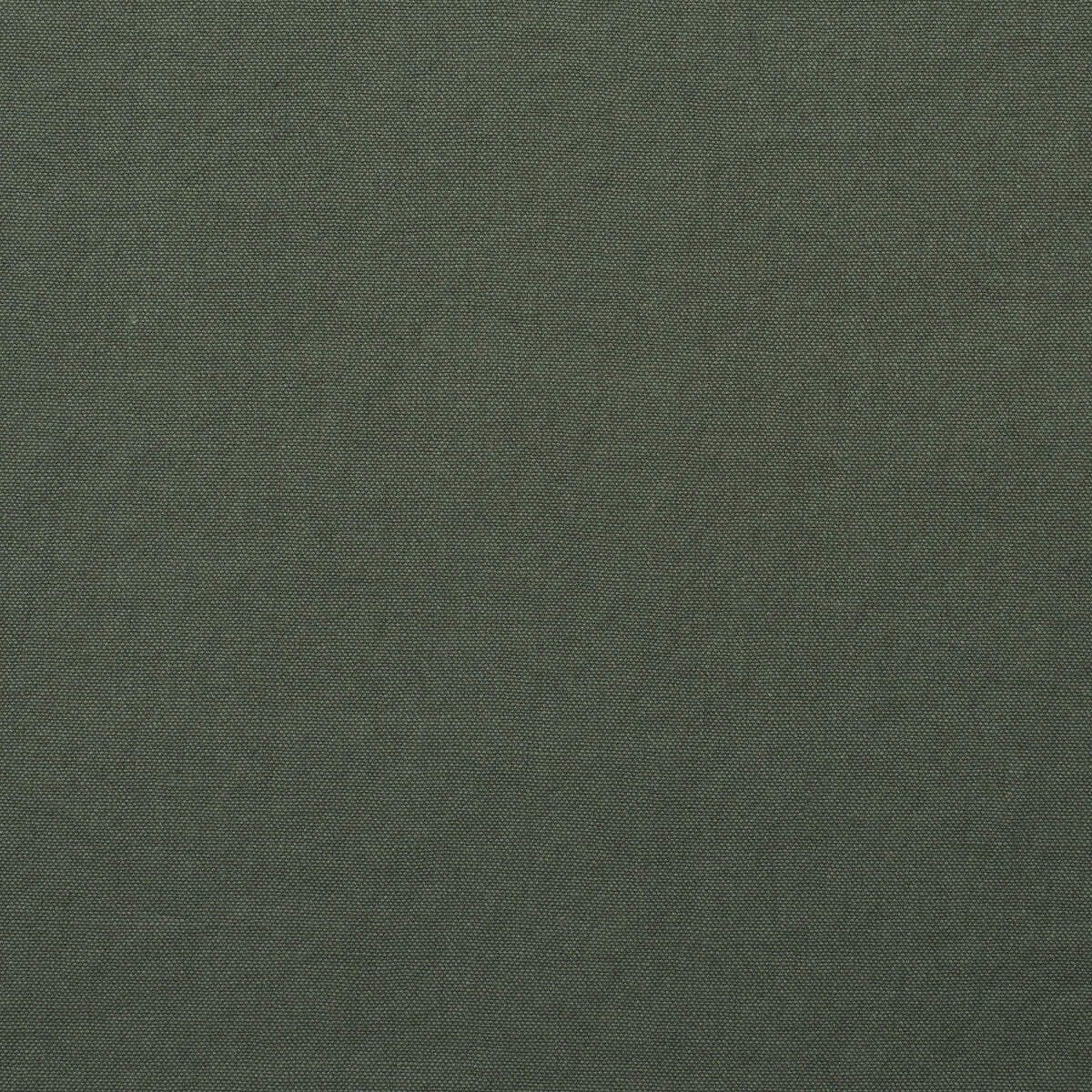 Rocco fabric in charcoal color - pattern number AM100452.2121.0 - by Kravet Couture in the Andrew Martin Rocco collection