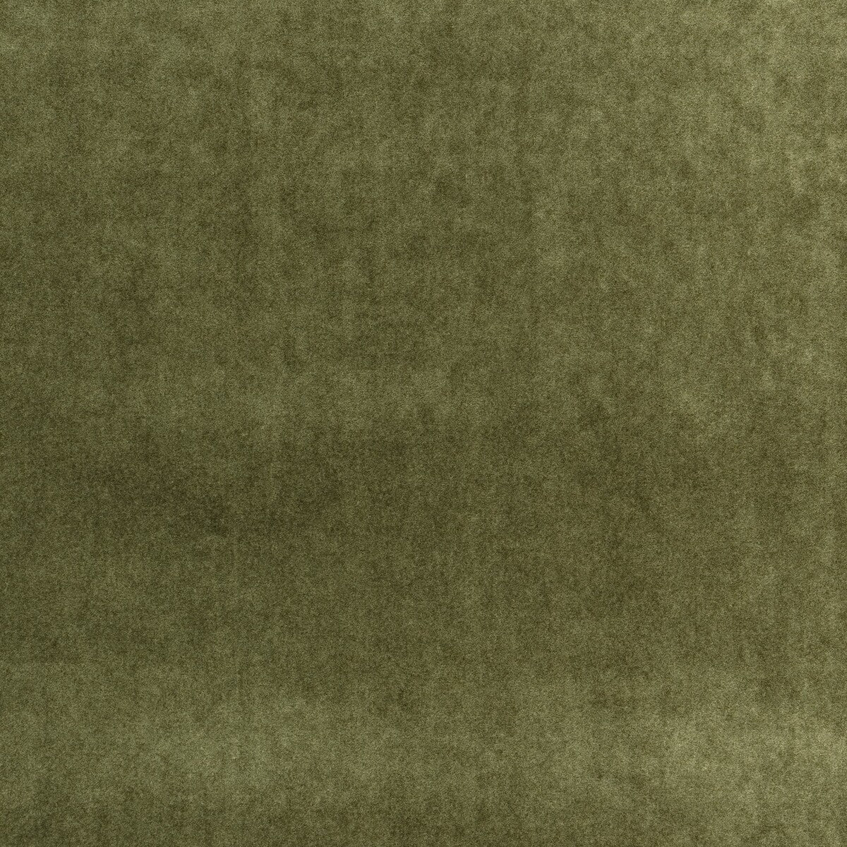 Venetia fabric in olive color - pattern number AM100473.3.0 - by Kravet Couture in the Andrew Martin Veneto collection