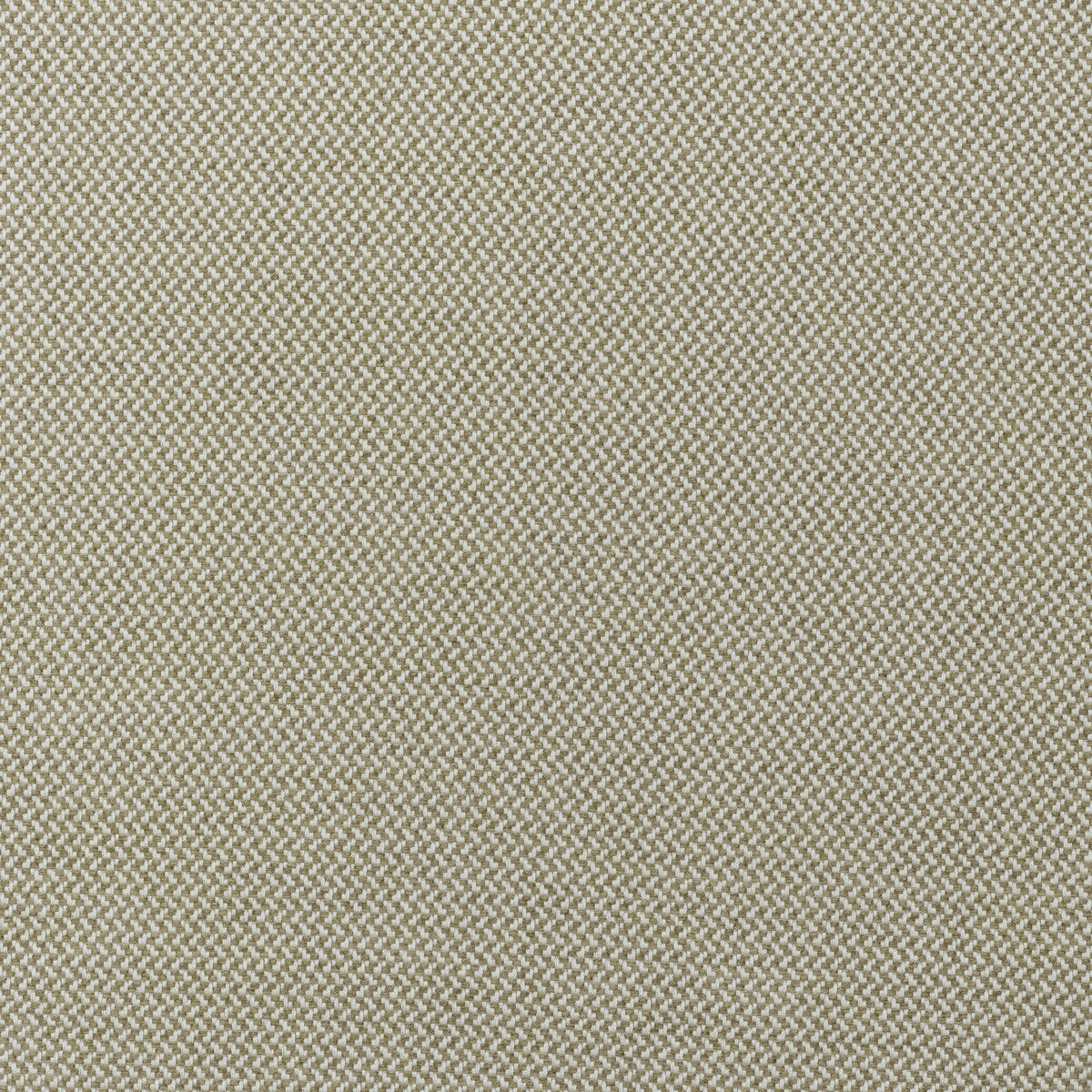 Sanremo fabric in almond color - pattern number AM100476.166.0 - by Kravet Couture in the Andrew Martin Veneto collection