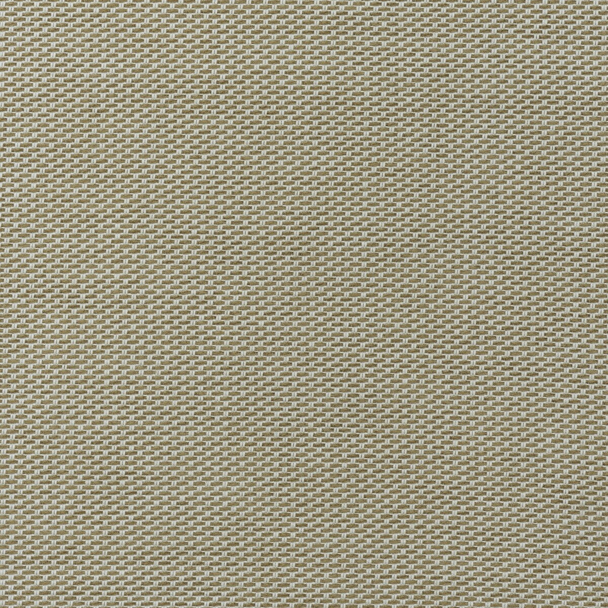 Taormina fabric in almond color - pattern number AM100477.166.0 - by Kravet Couture in the Andrew Martin Veneto collection