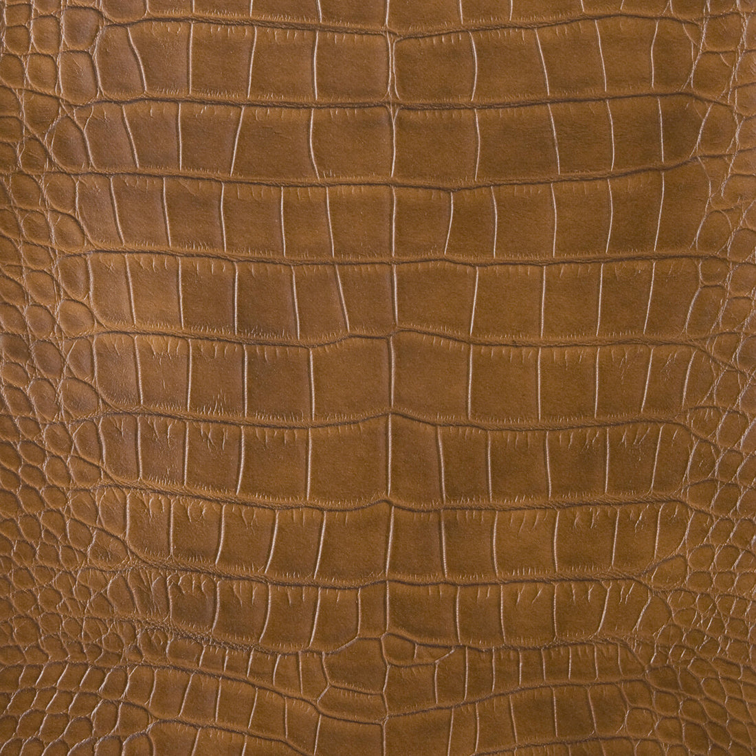 Kravet Design fabric in ankora-616 color - pattern ANKORA.616.0 - by Kravet Design