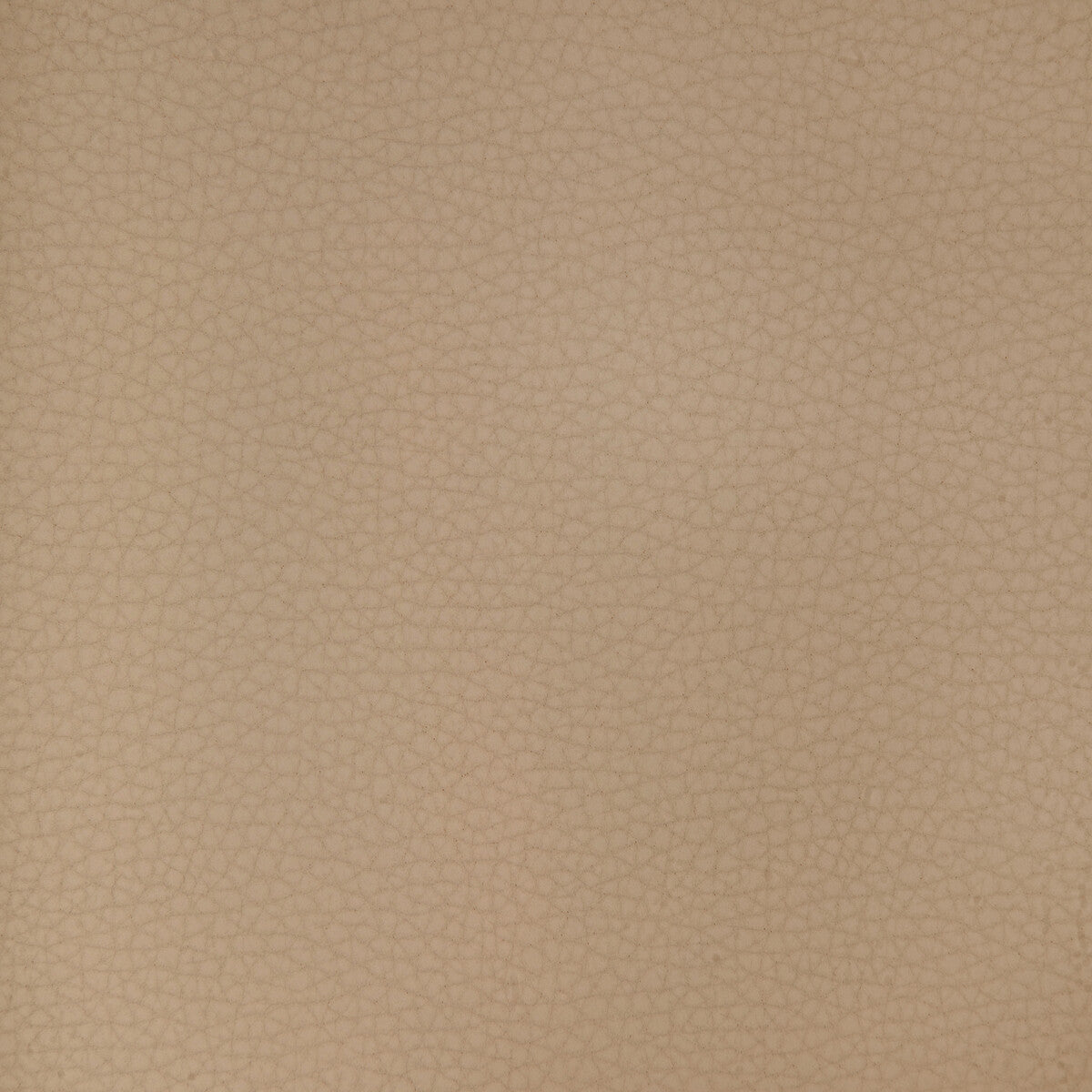 Areni fabric in areni-1101 color - pattern number ARENI.1101.0 - by Kravet Design in the Faux Leather IV collection