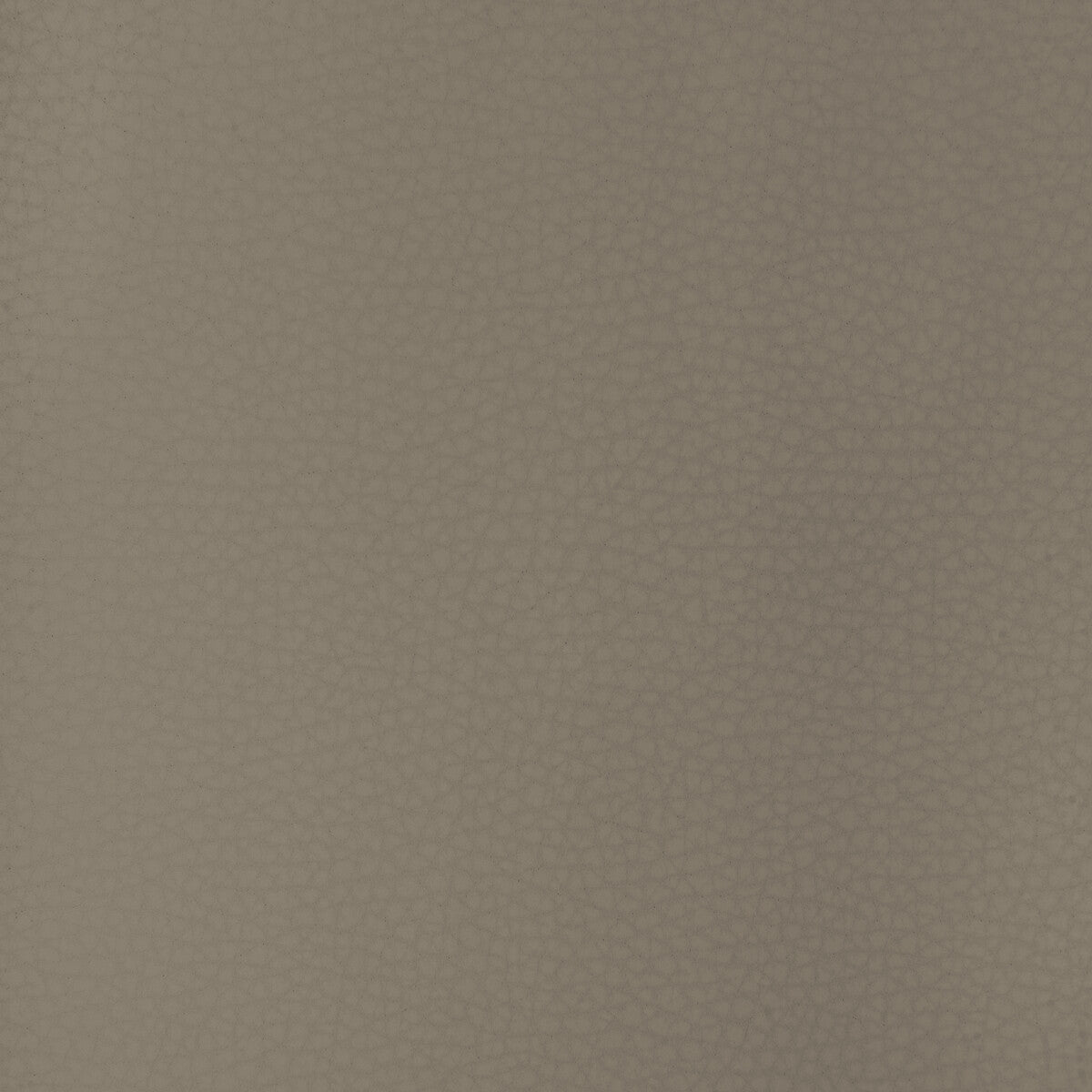 Areni fabric in areni-11 color - pattern number ARENI.11.0 - by Kravet Design in the Faux Leather IV collection