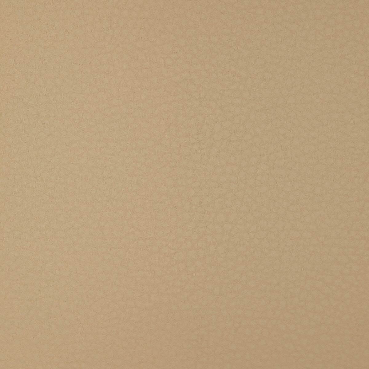 Areni fabric in areni-16 color - pattern number ARENI.16.0 - by Kravet Design in the Faux Leather IV collection