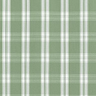 Payton Check fabric in green color - pattern number AW10709 - by Anna French in the Clermont collection