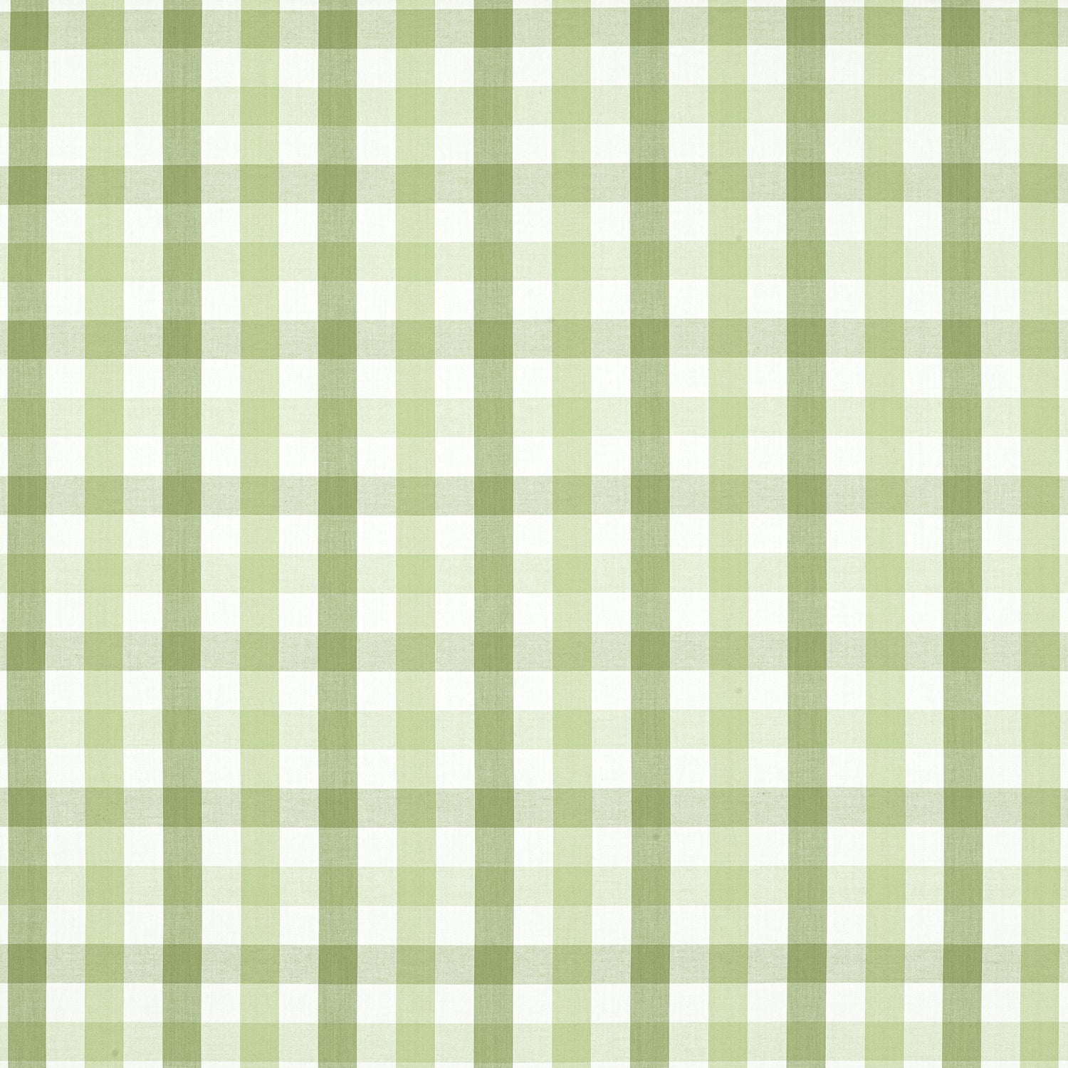 Saybrook Check fabric in green color - pattern number AW15145 - by Anna French in the Antilles collection