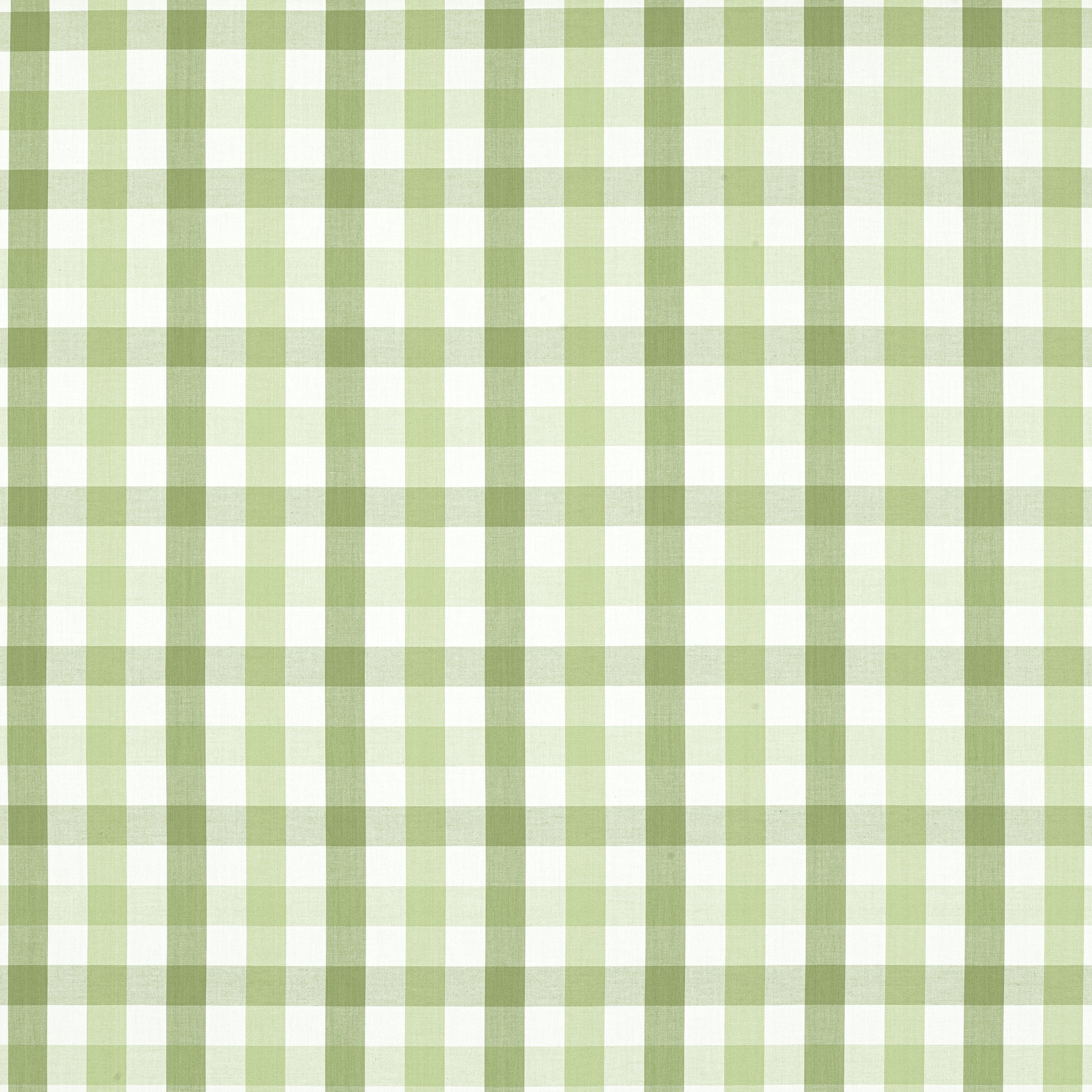 Saybrook Check fabric in green color - pattern number AW15145 - by Anna French in the Antilles collection