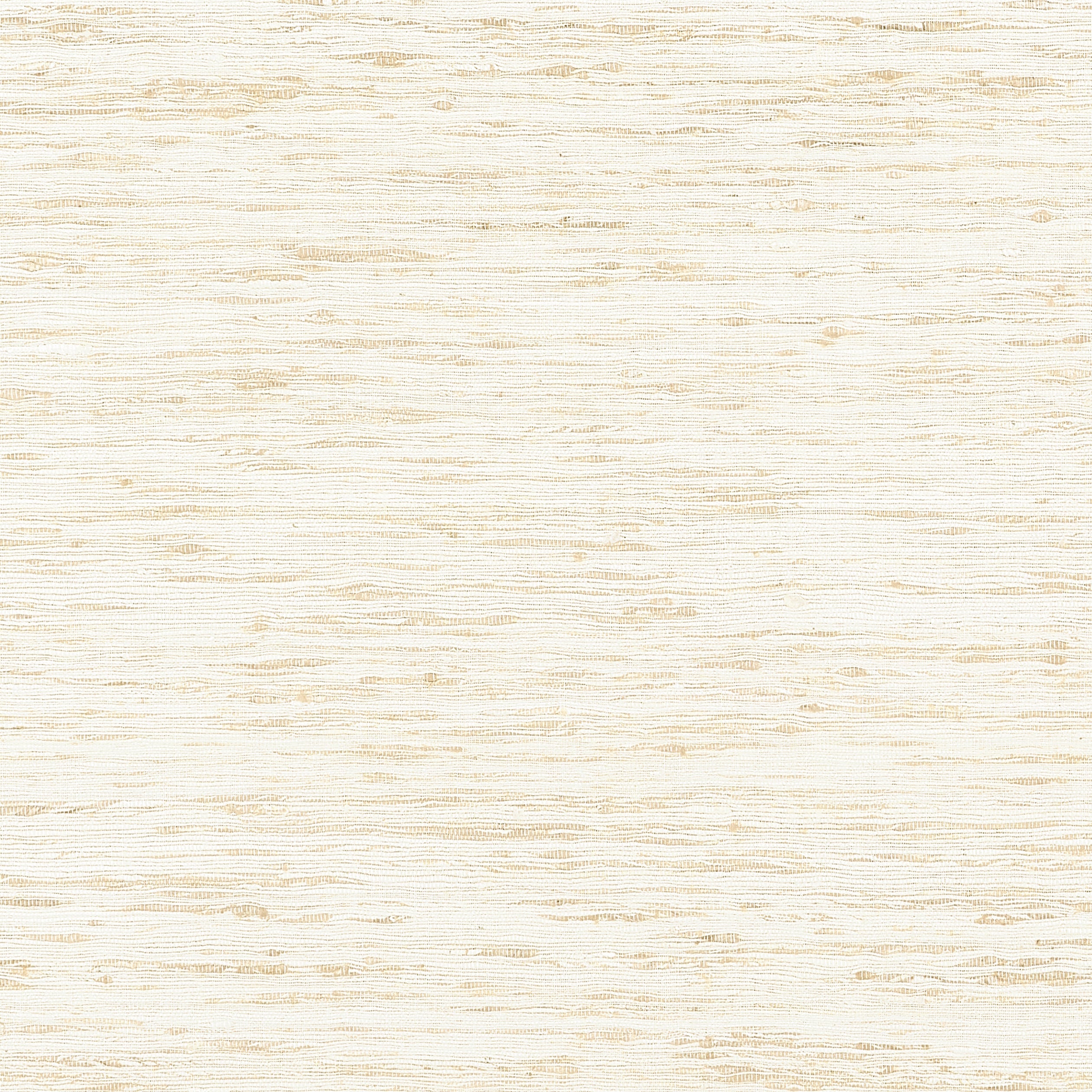 Pradesh Beige Fabric