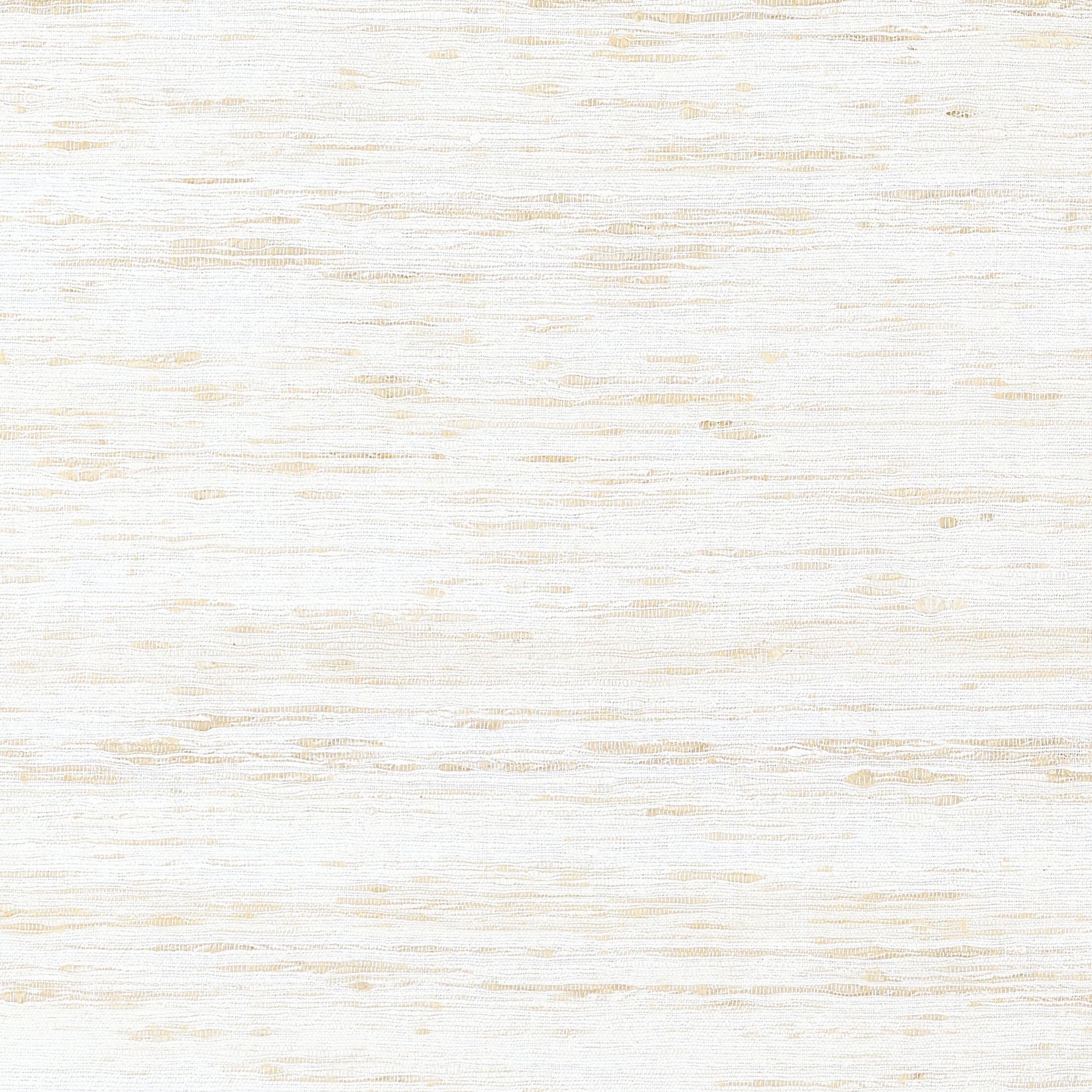 Pradesh White Fabric