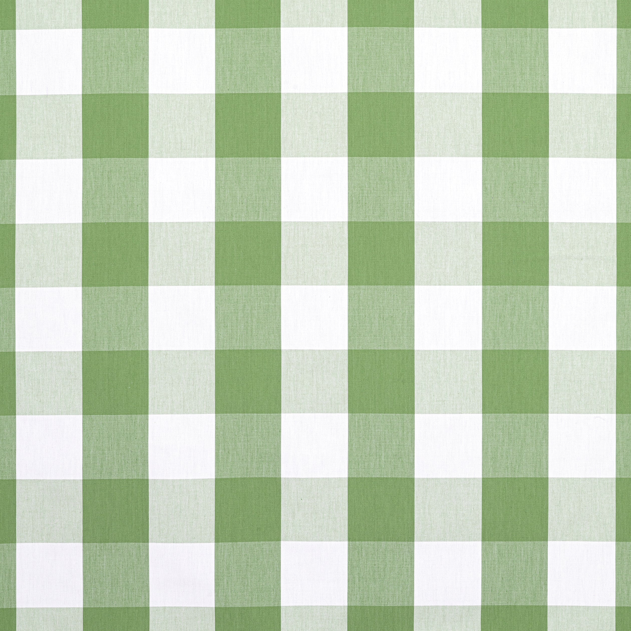 Hammond Check fabric in Kelly color - pattern number AW24507 - by Anna French in the Devon collection