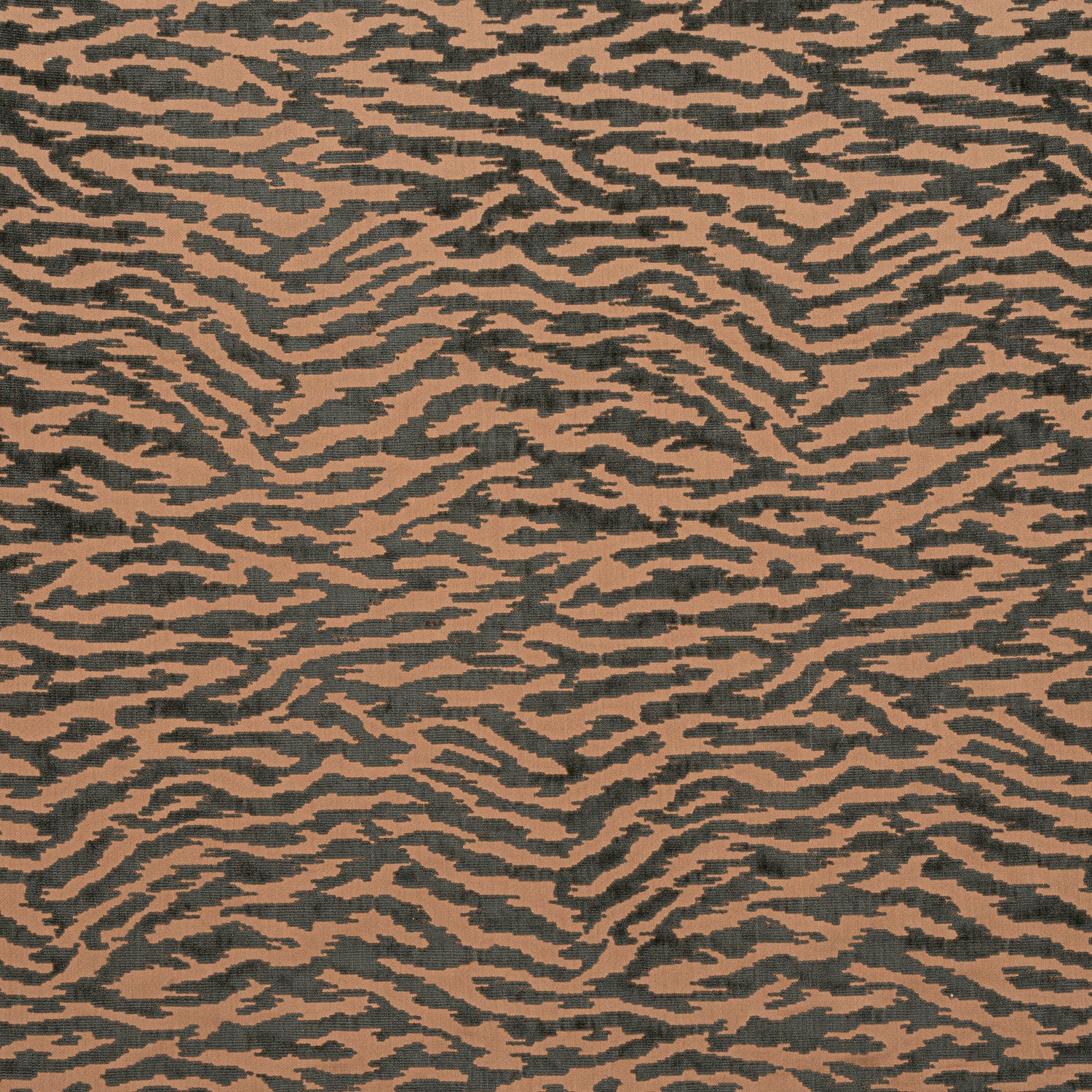 Tadoba Velvet fabric in Charcoal on Caramel color - pattern number AW24524 - by Anna French in the Devon collection