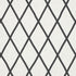 Tarascon Trellis Applique fabric in black on white color - pattern number AW78712 - by Anna French in the Palampore collection