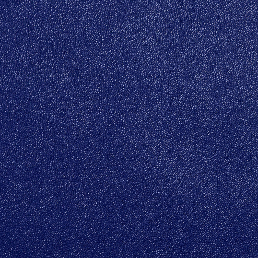 Allsport fabric in blue color - pattern number Allsport-Blue - by Charlotte in the Allsport collection